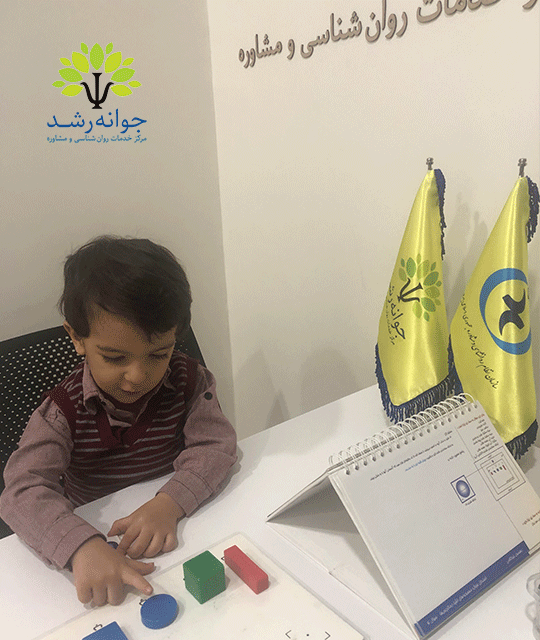 سنجش هوش کودکان 2 ساله تبریز