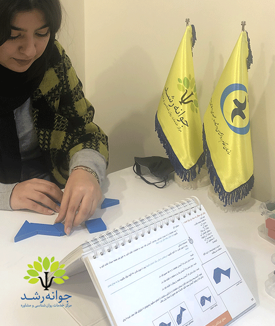 استعدادیابی و شناسایی استعدادها - مرکز مشاوره جوانه رشد تبریز