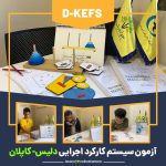 سیستم کارکرد اجرایی دلیس-کاپلان در تبریز