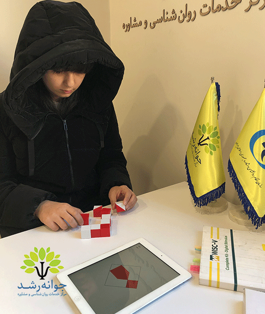 تست هوش وکسلر کودکان 6 تا 16 ساله - مرکز خدمات روانشناسی و مشاوره جوانه رشد تبریز
