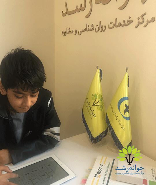 تست استعدادیابی کودکان و نوجوانان تبریز - کلینیک روانشناسی و مشاوره جوانه رشد تبریز
