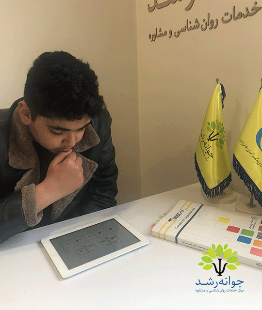 تست هوش کودکان و بزرگسالان در تبریز - مرکز جوانه رشد - پروفسور اکبر رضایی